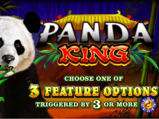 Panda King